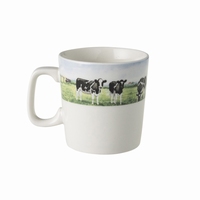 Minimok  Beste Stuurlui Wiebe van der Zee