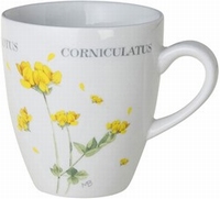 Minimok Lotus Wild Flowers Marjolein Bastin