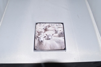 Schapen  Onderzetters Mars & More