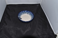 Serving Bowl Fleur Delicate Bunzlau Castle