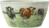 Bowl Koe Wiebe van der Zee