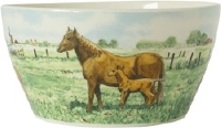Bowl Paard Wiebe van der Zee