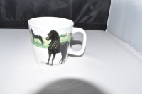 Minimok Friese Paarden Wiebe van der Zee