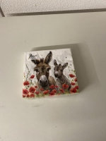 Servetten Ezels Ambiente